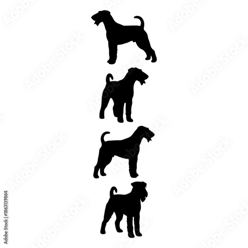 Airedale terrier animal silhouette, set of Airedale terrier vector, dog breed vector design, Airedale terrier silhouette art design