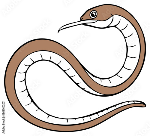 Elegant Cartoon Snake with Curved Body and Unique Beak Head, Isolated on White Background for Creative Projects