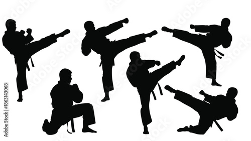 Martial arts poses in black dynamic kick stances a striking silhouette