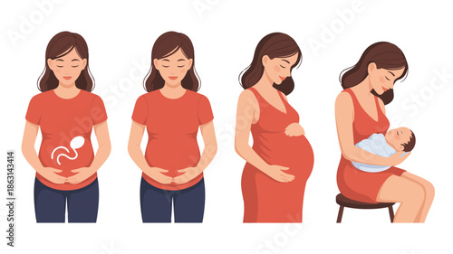 A timeline of a womans pregnancy progress is depicted from early conception to holding her infant