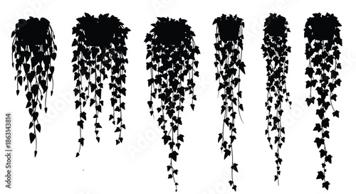 Collection of black silhouettes of trailing ivy and hanging indoor plants in decorative pots against a clean white background.