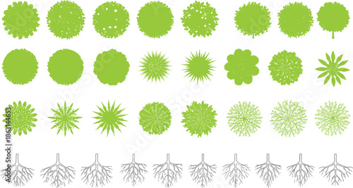Green Tree Canopy and Root System Vector Set Featuring Top View Foliage Shapes and Underground Roots for Landscape, Ecology, and Nature Designs