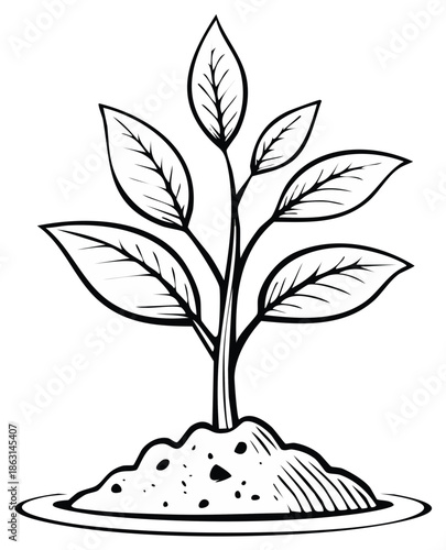 Hand-drawn illustration of a sprouting seedling emerging from fertile soil, symbolizing growth and new beginnings.