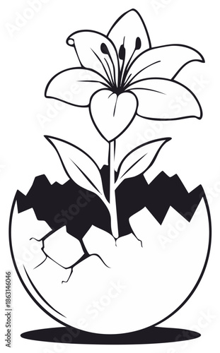 Lily Flower Growing From Cracked Eggshell Illustration