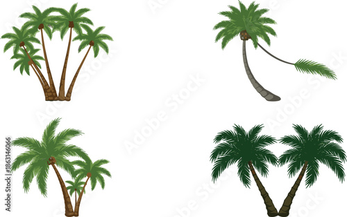 Palm Tree Illustration Set with Tropical Coconut Palms for Summer Nature Designs, Beach Landscapes, Island Graphics, Travel Posters, and Exotic Vector Artwork