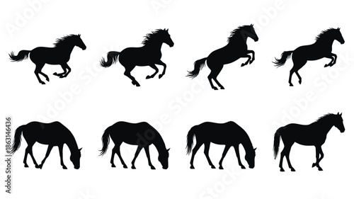 A collection of stylish sunglasses in a striking black silhouette