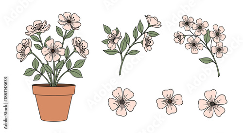 Collection of delicate hand-drawn pink flowers and green leaves arranged in a terra cotta pot and as separate botanical elements.
