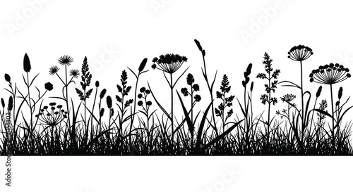 Detailed black silhouette of meadow grass and various wildflowers forming a long horizontal border on a clean white background.