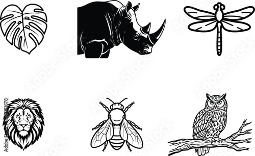 black and white animal and plant illustrations on white background