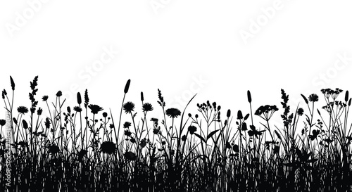 Detailed black silhouette of a meadow with tall grass and wildflowers growing across the horizon on white background.