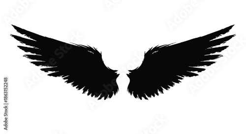 Pair of large spread black wings with textured feathered edges isolated on a white background for graphic design.