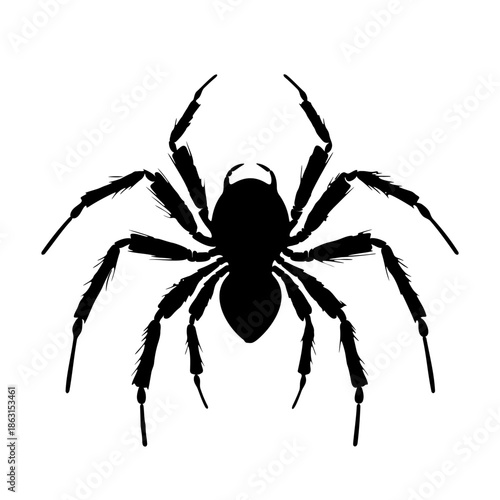 Detailed black silhouette of a spider with hairy legs. Pictogram of nature, danger, or Halloween. Vector illustration.