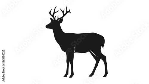 Silhouette of a Majestic Stag Deer with Antlers Standing on White Background, Vector Art