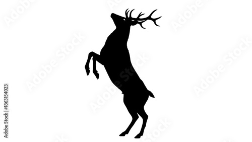 Reaching Stag Silhouette: Majestic Deer Rearing Up Against White Background