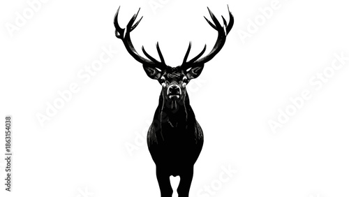 Majestic Stag Portrait, Black and White Silhouette, Front View, Antlers High