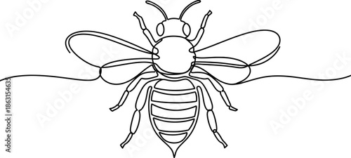 Minimalist single line drawing of a bee in flight, showcasing insect anatomy and nature's simplicity