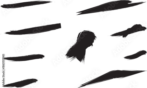 Brush strokes collection various black brushes for art and design