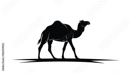 A striking black camel form against a white background a captivating silhouette