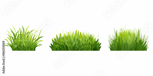 Three vibrant patches of green grass isolated on a white background