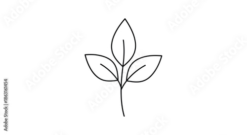 Simple black outline drawing of three leaves on a single stem isolated on a plain white background for minimalist design.