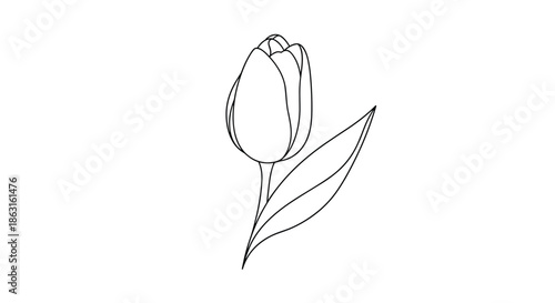 Simple black line sketch of a single closed tulip flower with a long stem and one pointed leaf on a white background.