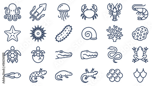 Collection of Marine and Amphibious Animal Icons. EPS Editable
