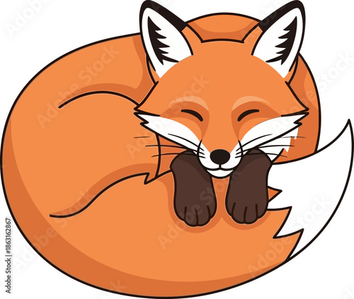 Adorable Cartoon Red Fox Sleeping Curled Up in a Circle Cute Illustration