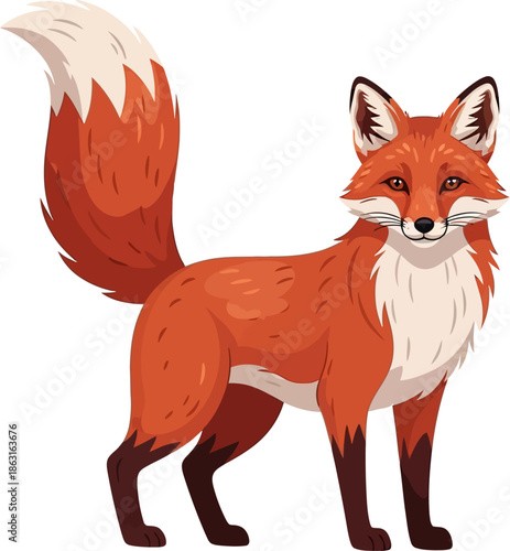 Adorable Red Fox Standing and Looking Forward Cute Cartoon Style Wildlife Illustration