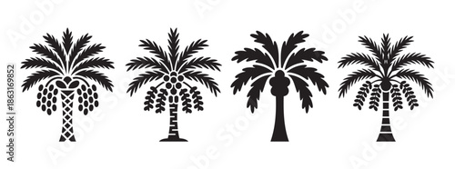 Set of Date Palm Tree Silhouettes with Fruit Clusters, Middle Eastern Tropical Tree Vector Icons for Oasis and Desert Themes