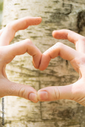 hands symbolically forming a heart against a natural background, a birch tree and a forest,
