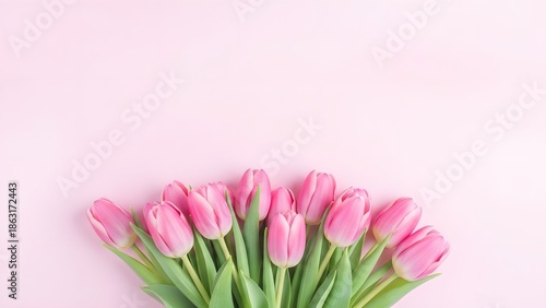 Pink Tulips Arranged on a Soft Pink Happy valentine's day Background flowers