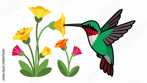 Tiny hummingbird with iridescent feathers sips nectar from bright yellow and orange flowers