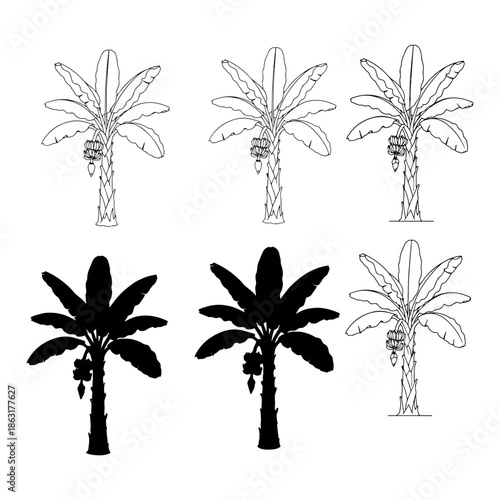 banana trees silhouette pack solid, thin linear and fill set