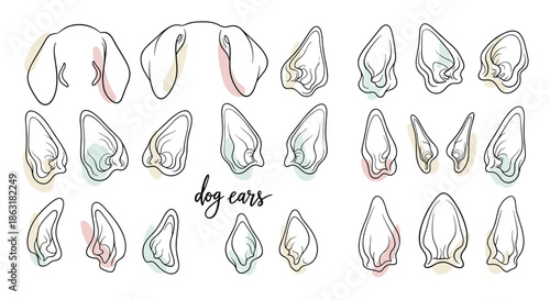 Diverse collection of various dog ear shapes and styles shown in an artistic sketch style with soft pastel color accents for pet lovers.