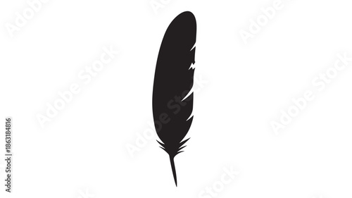 Vertical black feather silhouette on white background, minimalist flat vector icon with tapered quill and subtle barbs for design projects