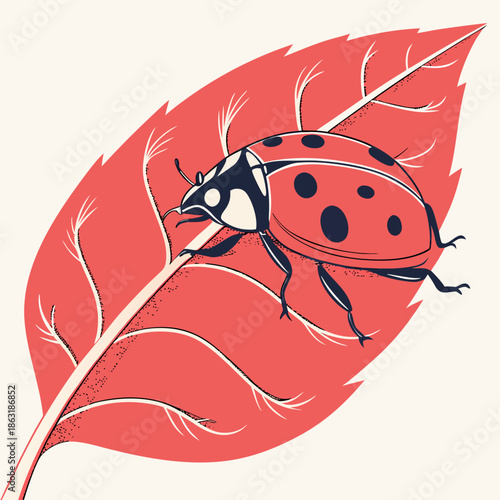 Red ladybug on red leaf black spots