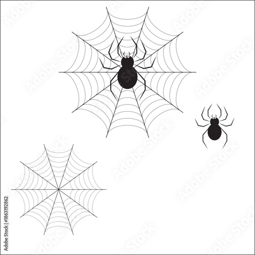 Black Spiders and Spiderwebs on White Background for Halloween additional detailed