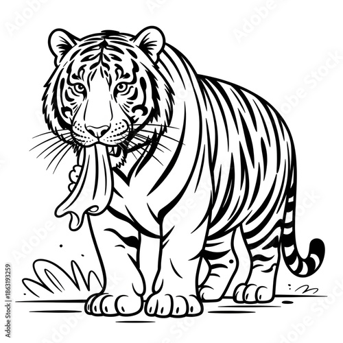 Tiger Eating Meat Coloring Page Wildlife Illustration