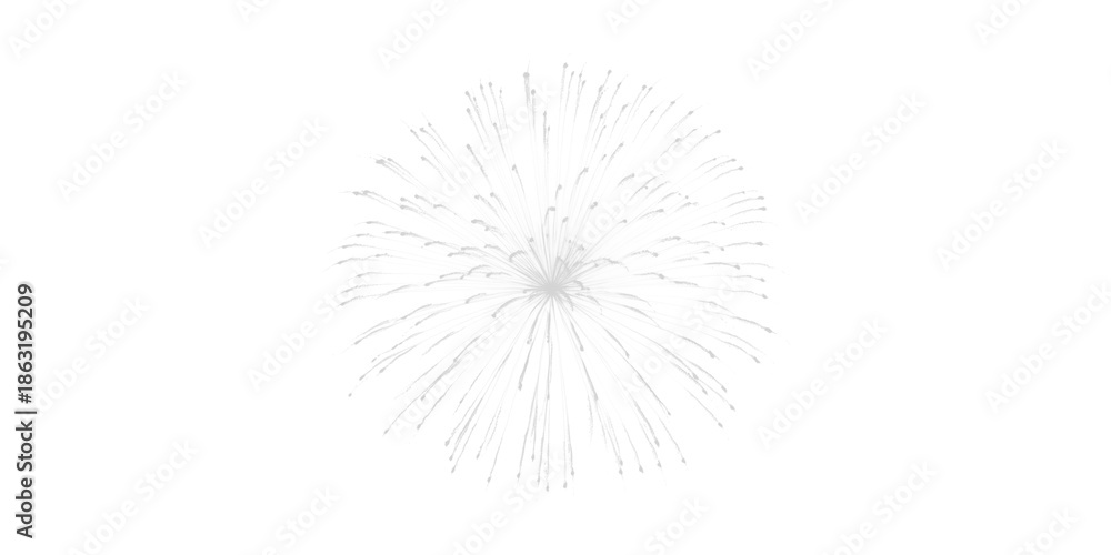 Obraz premium Brilliant white fireworks burst a sparkling celebratory explosion lighting up the dark night sky with pure festive joy