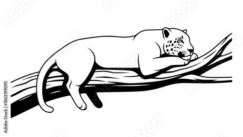 Flat style vector of a jaguar lying on a tree branch, minimal shapes, smooth curves, modern illustration, balanced composition, wildlife concept, isolated background, editable vector