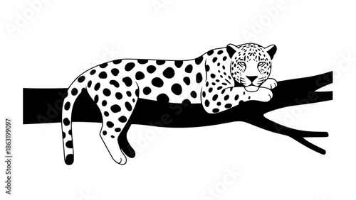 Flat style vector of a jaguar lying on a tree branch, minimal shapes, smooth curves, modern illustration, balanced composition, wildlife concept, isolated background, editable vector