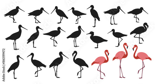 A large collection of wading bird silhouettes including sandpipers and two pink flamingos in various standing poses.