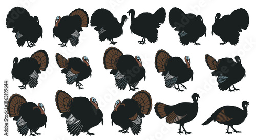 A large set of wild turkey illustrations and silhouettes showing the bird in various poses for Thanksgiving designs.