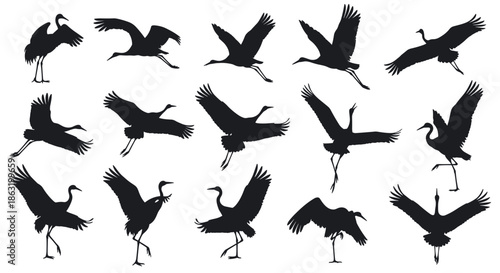 A comprehensive collection of graceful crane silhouettes showing the birds in various flying landing and dancing positions.