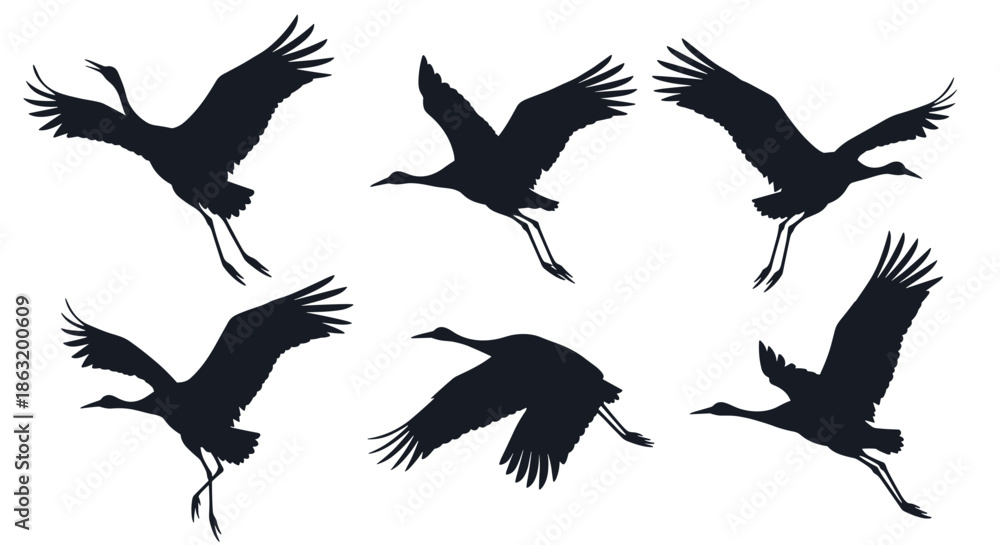 Obraz premium A collection of six elegant black silhouettes of Japanese cranes in different stages of mid-flight and landing.