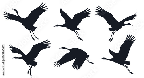 A collection of six elegant black silhouettes of Japanese cranes in different stages of mid-flight and landing.