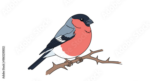 Charming illustration of a plump Eurasian bullfinch with a distinctive red breast and black cap perched gracefully on a thorny brown twig.