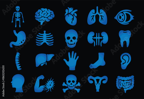 Anatomy icons set featuring human organs and body parts, including skeletal, respiratory, digestive, and circulatory systems, for medical and educational purposes