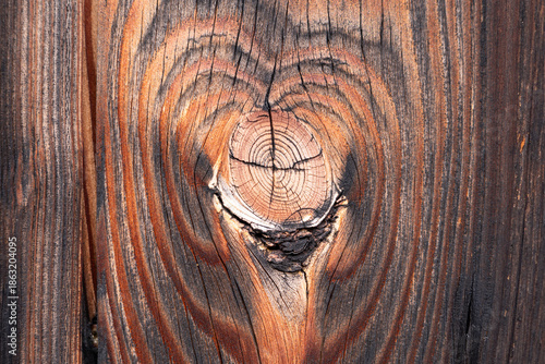 Rustic Wooden Background with Natural Grain and Knot Detail