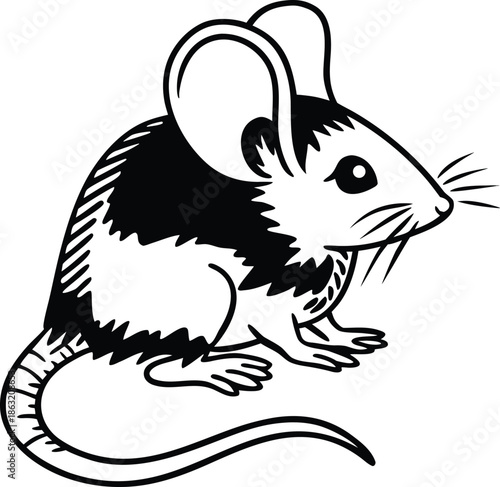 mouse graphic silhouette vector illustration
